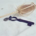 pexels alexander zvir 12657527