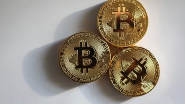 bitcoin ethereum o ripple in quale criptovaluta dovresti investire questanno