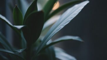 innovacao fintech e implicacoes da crise del 2008 1760881160